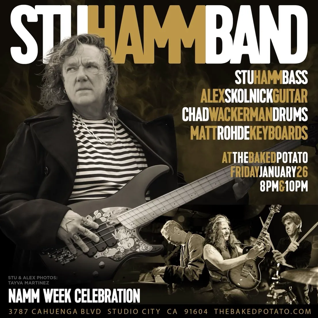 Stu Hamm Band